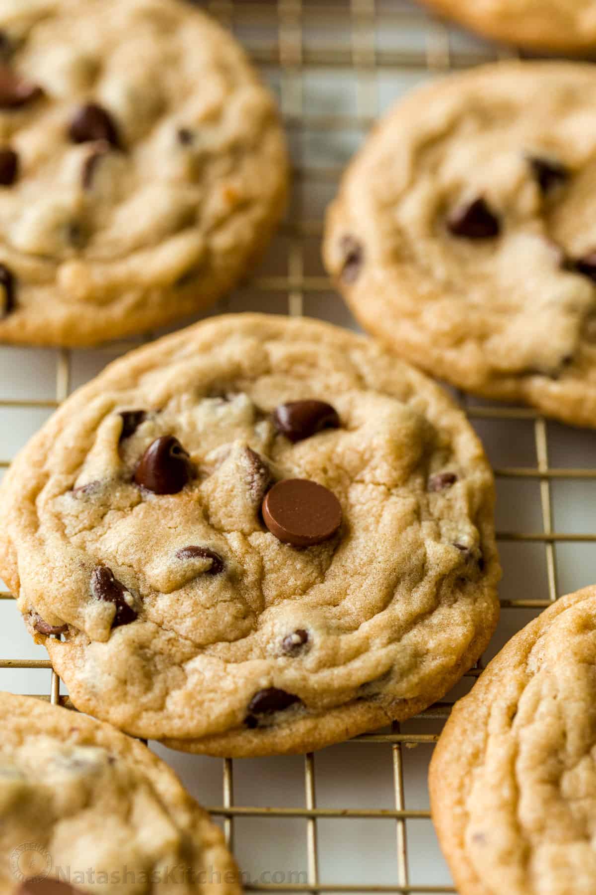 Chocolate Chip Cookies studded with chocolate chips on a cookie rack