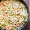 Creamy Shrimp Alfredo pasta in pan